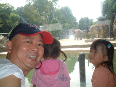 05-0923_elephant.jpg