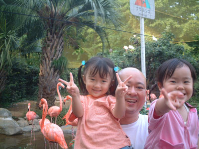 05-0923_flamingo.jpg
