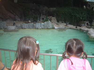 05-0923_penguin.jpg