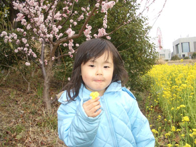 06-0318_Momori@nanohana.jpg