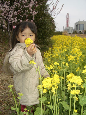06-0318_Nodoka@nanohana.jpg