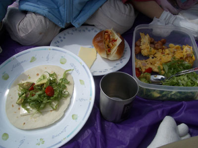 06-0318_picnic.jpg