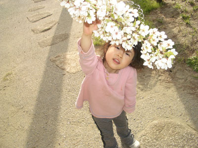 06-0401_Momori_w_sakura.jpg