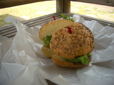 06-0401_burger.jpg